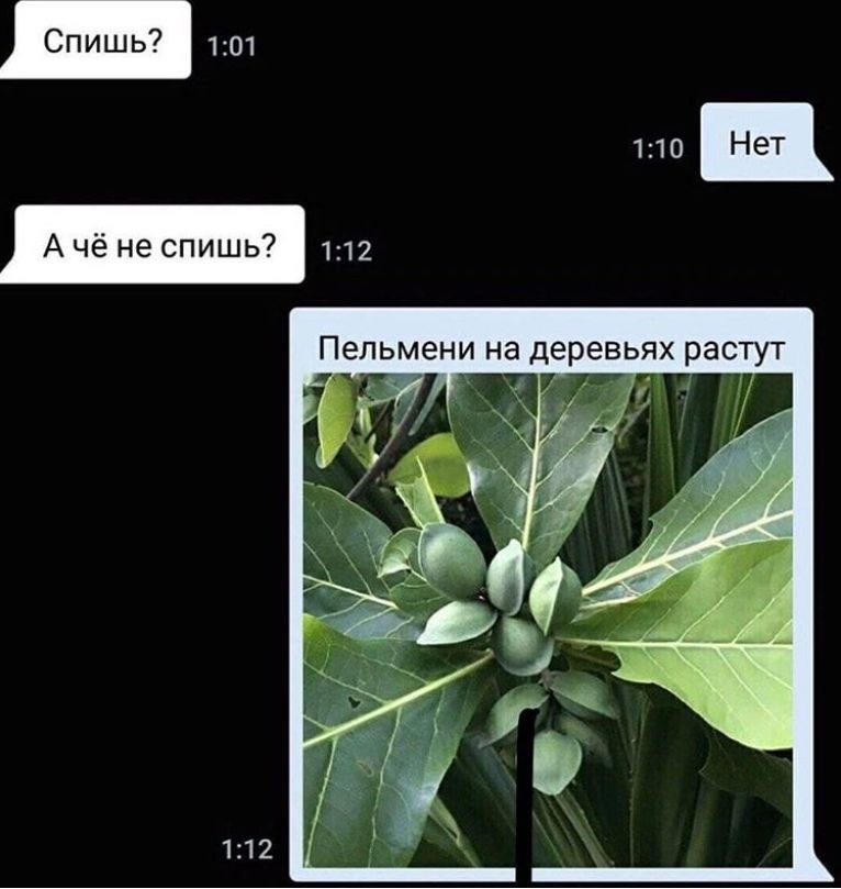 Спишь? Her Ачёне спишь? Пельмени на деревьях растут Я 1:12