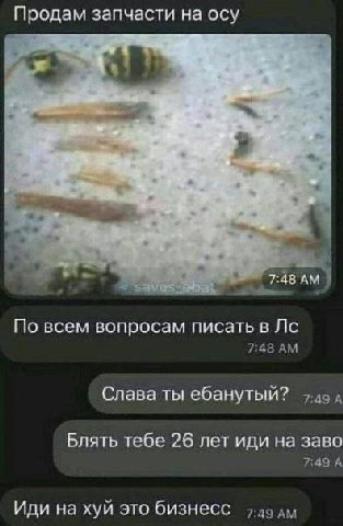Продам запчасти на осу 7:48 По всем вопросам писать в 7:48 Слава ты ебанутый? ›.дэл Блять тебе 26 лет иди на заво 7:49 А Иди на хуй это бизнесс