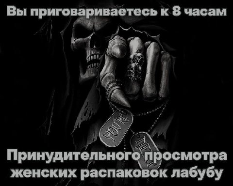 Вы приговариваетесь к 8 часам Принудительного просмотра женских распаковок лабубу