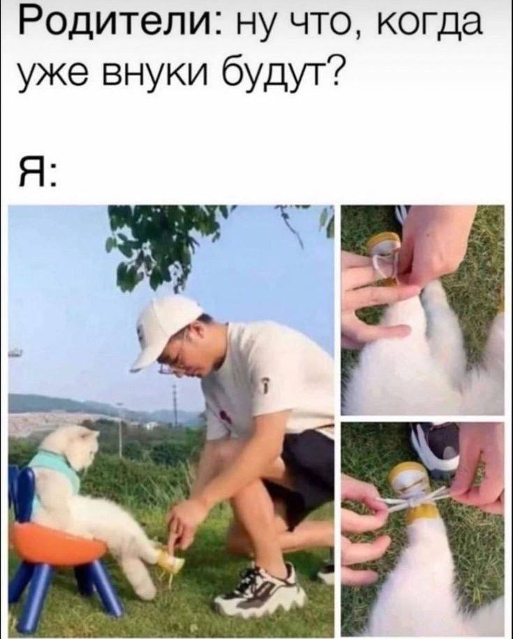 Родители: ну что, когда уже внуки будут? Я: у