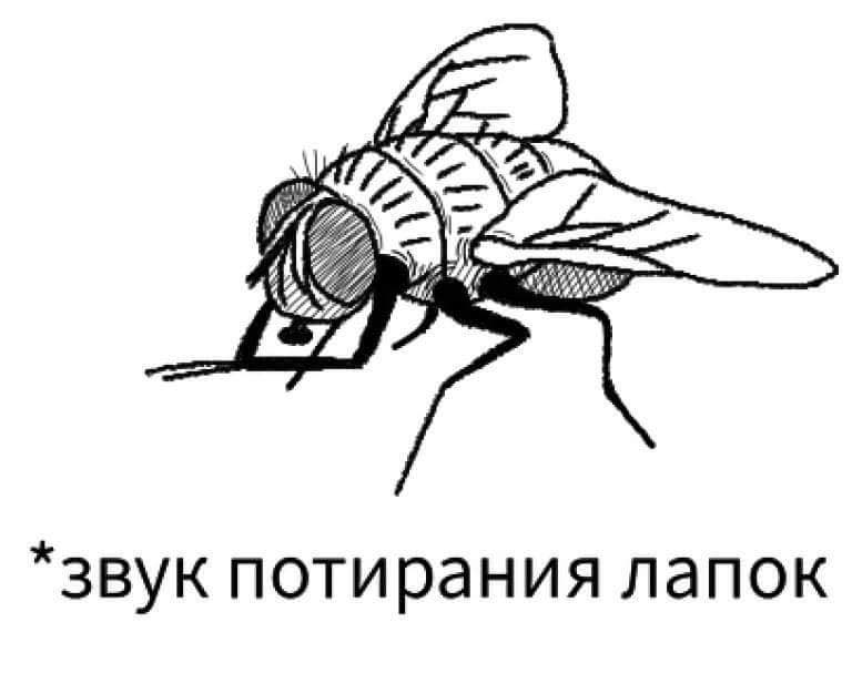 *звук потирания лапок