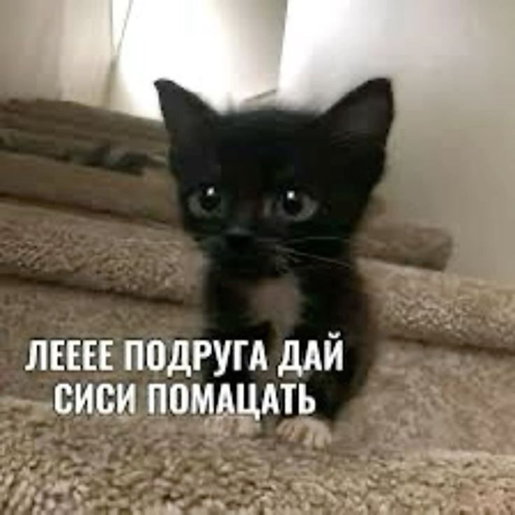 ЛЕЕЕЕ ПОДРУГА ДАЙ СИСИ ПОМАЦАТЬ