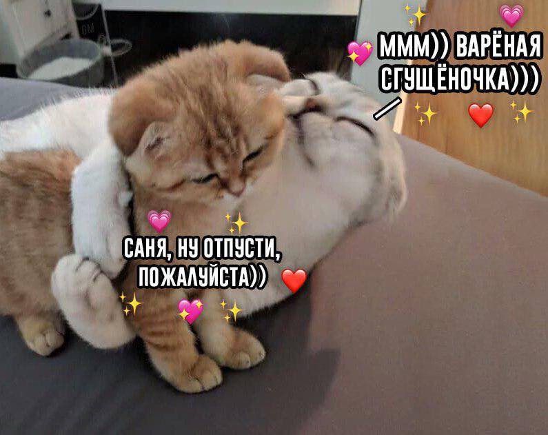 ВАРЁНАЯ САНЯ, ОТПУСТИ ПОЖАЛУИСТА))