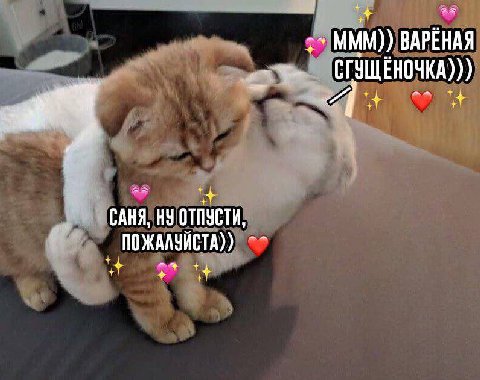 ВАРЁНАЯ САНЯ, ОТПУСТИ ПОЖАЛУИСТА))