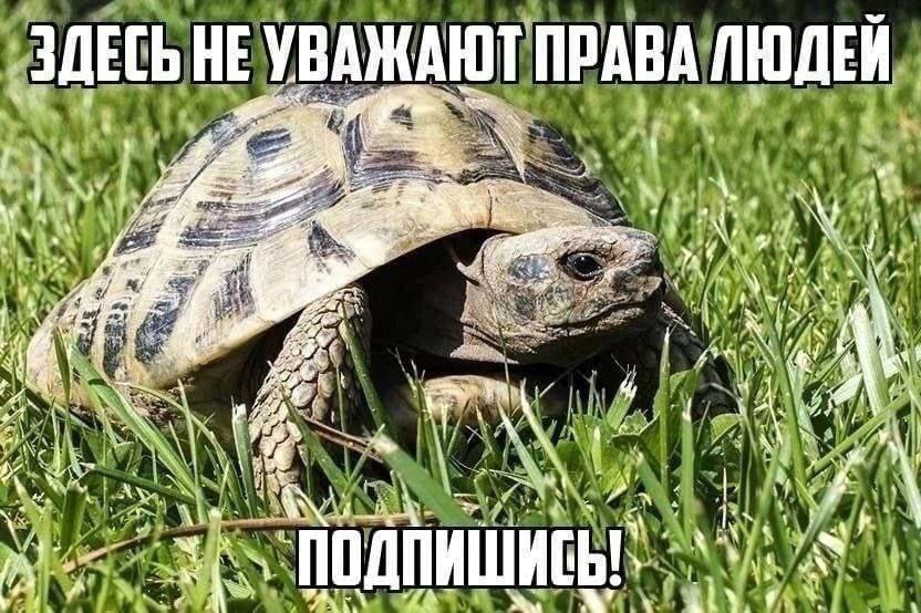 ЗДЕСЬ НЕ УВАЖАЮТ ПРАВА ЛЮДЕЙ у К 4 иги 1