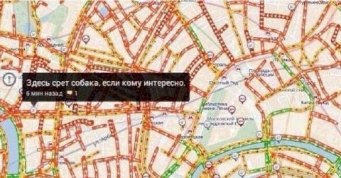 “A 2 Здесь срет собака, если кому интересно мин и ни