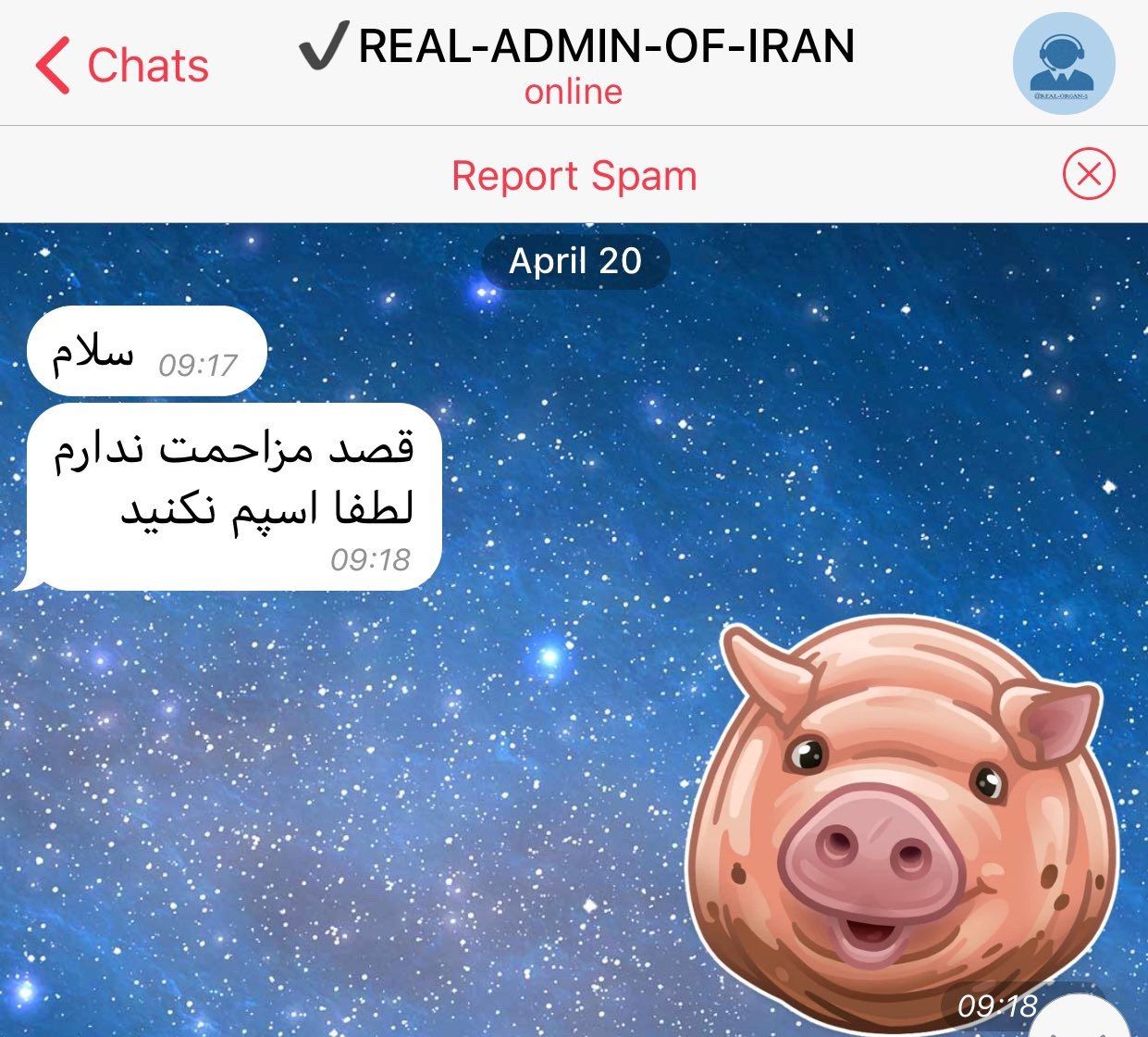 Chats REAL-ADMIN-OF-IRAN online Report Spam