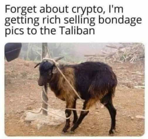 Forget about crypto, getting rich selling bondage pics to the Taliban
