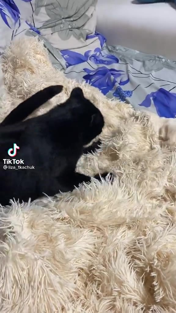 TikTok liza_tkachuk в