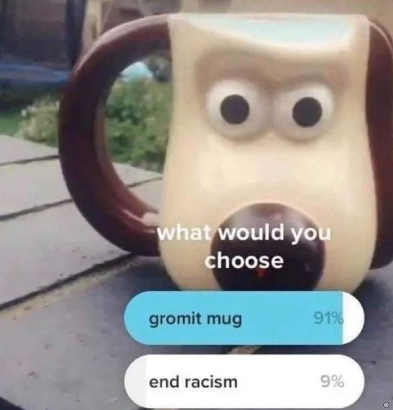would choose end racism