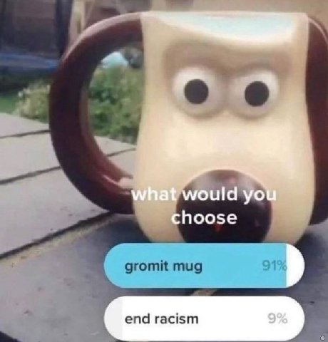would choose end racism
