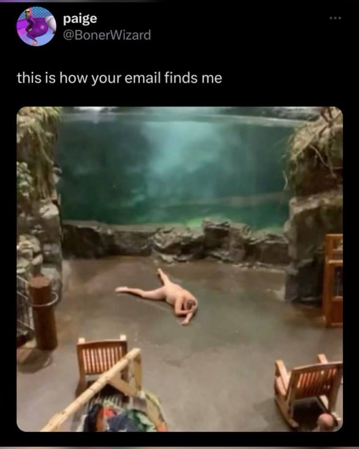 paige @BonerWizard this is how your email finds me