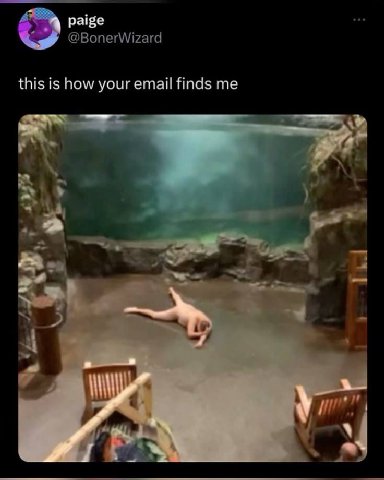 paige @BonerWizard this is how your email finds me