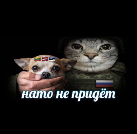 нато не придёт