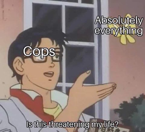 Absolutely everything Cops Is this threatening my life?