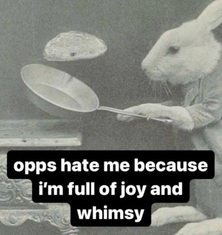 opps hate me because full of joy and whimsy