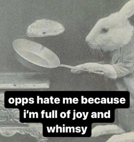 opps hate me because full of joy and whimsy