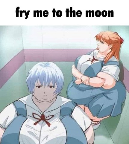 fry me to the moon +4 я
