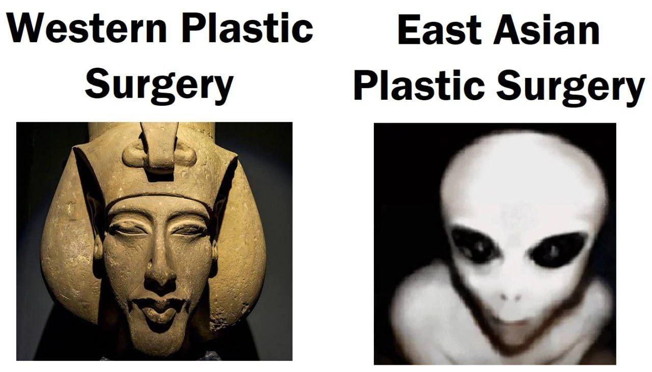 Western Plastic East Asian Surgery Plastic Surgery AES 2 if
