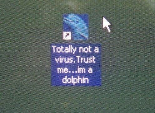 Totally not a virus. Trust а dolphin