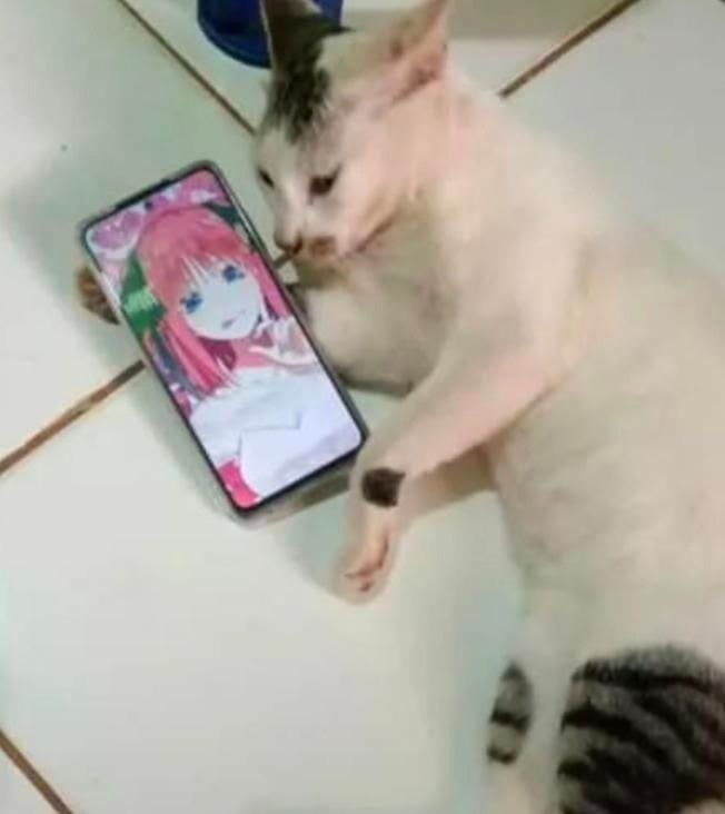СМ” ти > у ‘ а. « = A Ммм x - =