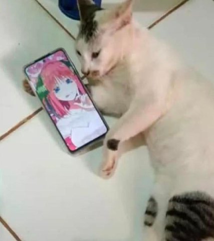 СМ” ти > у ‘ а. « = A Ммм x - =