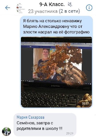 9-А Класс. 23 участника (2 в сети) Я блять на столько ненавижу Марию Александровну что от злости насрал на её фотографию 17 Мария Сахарова Семенов, завтра с родителями в школу 20:29