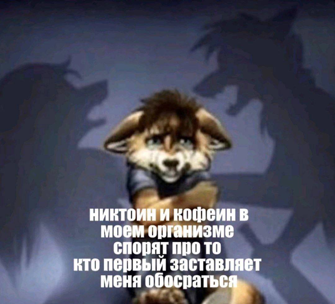 a никтоийИ кофеин в моем организме спорят про то кто первый заставляет меня