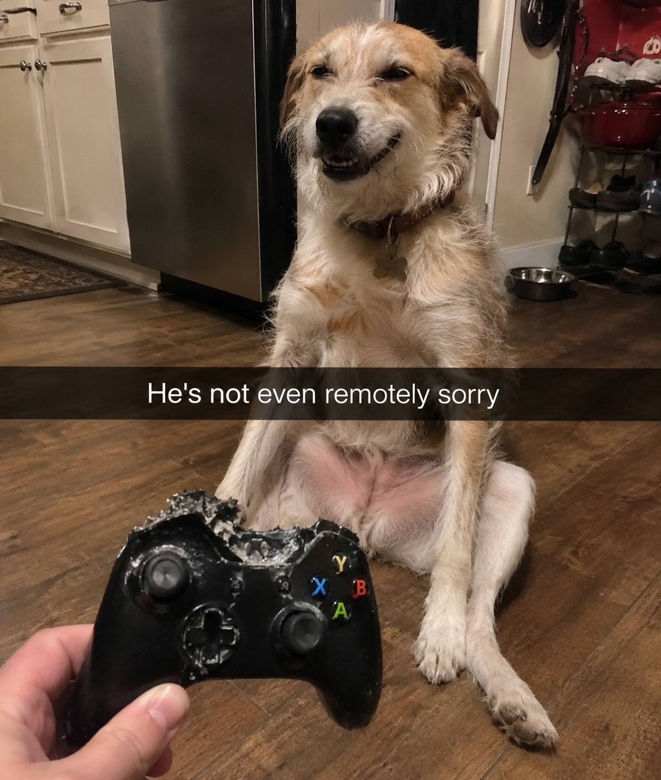 He's not even remotely sorry