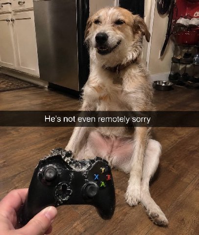He's not even remotely sorry