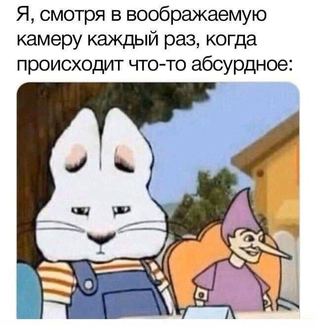Я, смотря в воображаемую камеру каждый раз, когда происходит что-то абсурдное: 4