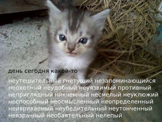 неутешительный гнетущий незапоминающийся неохотный неудобный неуязвимый противный неприглядный никчемный несмелый неуклюжий неспособный неосмысленный неопределенный неивриваемый неубедительный неутонч