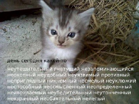неутешительный гнетущий незапоминающийся неохотный неудобный неуязвимый противный неприглядный никчемный несмелый неуклюжий неспособный неосмысленный неопределенный неивриваемый неубедительный неутонч