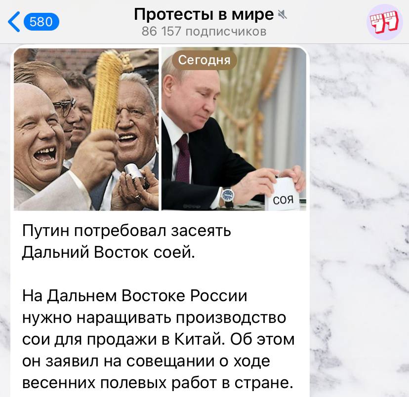 соевый куколд