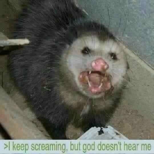 keep screaming, but god doesn't hear me