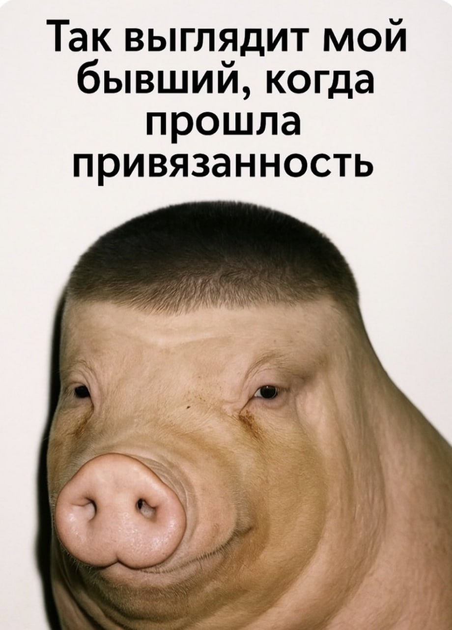 Так выглядит мой бывший, когда прошла привязанность