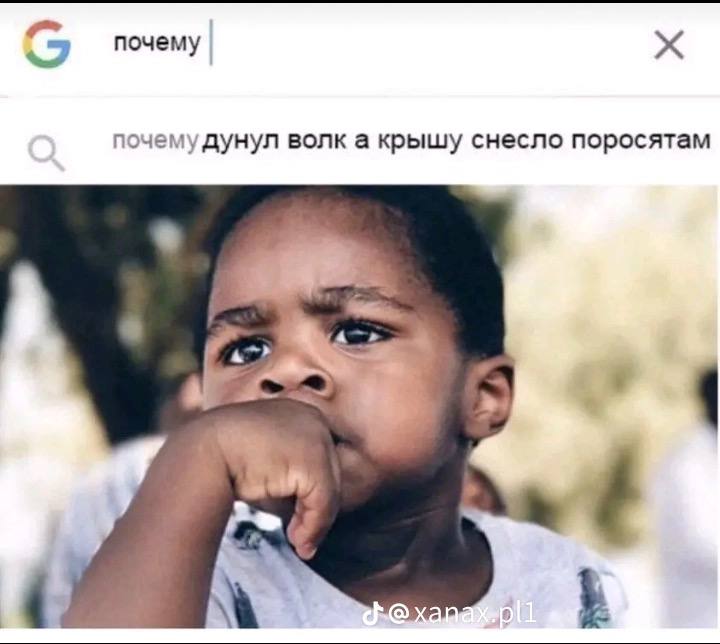 почему почему дунул волк а крышу снесло поросятам a