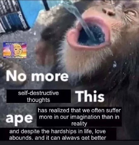 тоге self-destructive thoughts This has realized that we often suffer magination than in ape more In Our i reality and despite the hardships in life, love abounds. and it can alwavs aet better