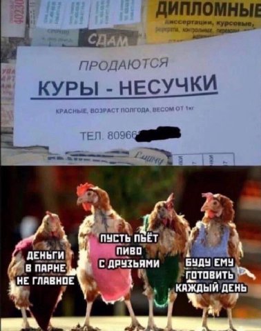 курсовые, ПРОДА ОТС К УРЫ НЕСУЧКИ TES 17 ПУСТЬ ПЬЁТ пиво ДЕНЬГИ С ДРУЗЬЯМИ EMY ПАРНЕ НЕ ГЛАВНОЕ КАЖДЫЙ ДЕНЬ