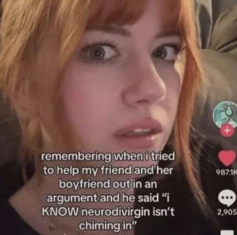 7 remembering when tried to help my friend and her boyfriend out argument and he said “1 KNOW neurodivirgin isn't chiming in”