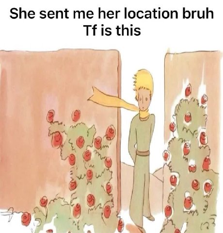 She sent me her location bruh is this 4 A