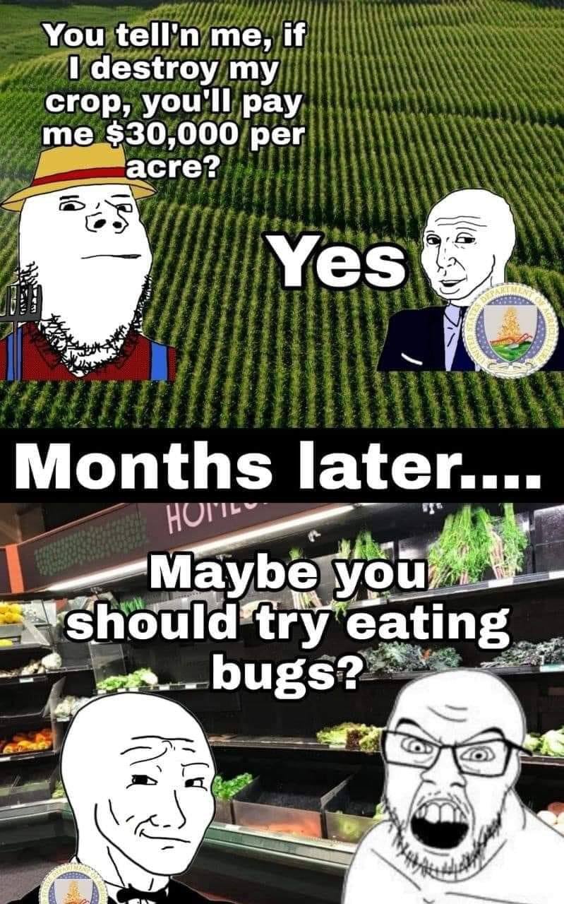 You tell'n me, if destroy my crop, you'll pay me $30,000 per асге? и Months later.... aati eating £8 bugs?