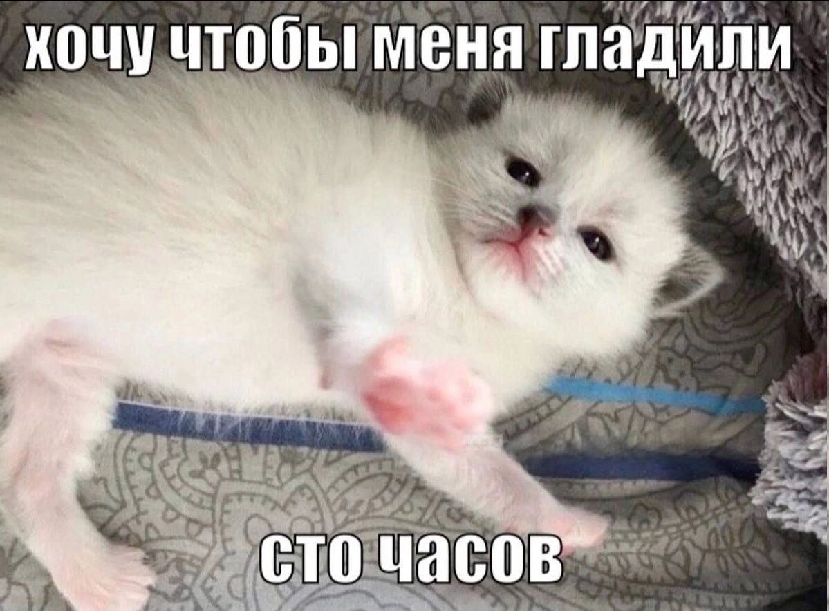 чтобы меня А