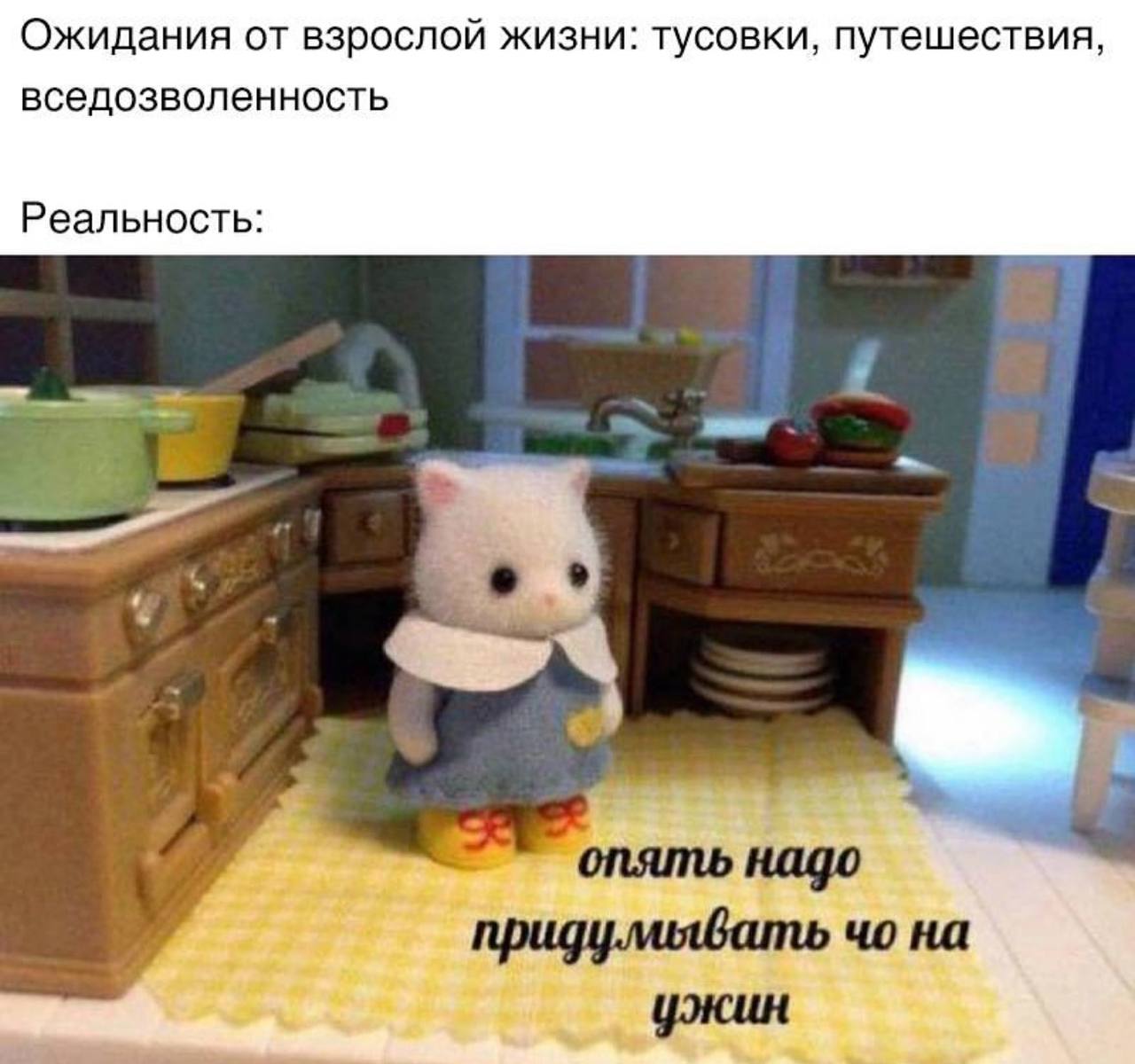 Ожидания от взрослой жизни: тусовки, путешествия, вседозволенность Реальность: 5) опять надо придумывать на