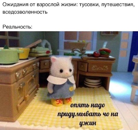 Ожидания от взрослой жизни: тусовки, путешествия, вседозволенность Реальность: 5) опять надо придумывать на