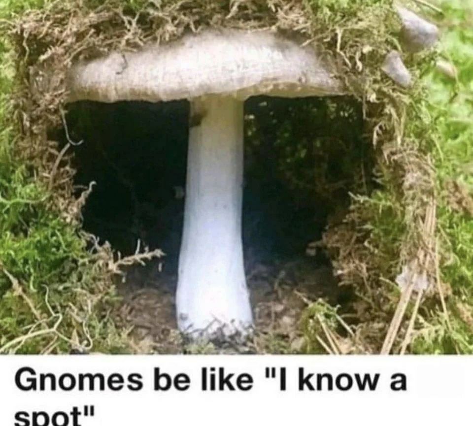 Gnomes be like "I a