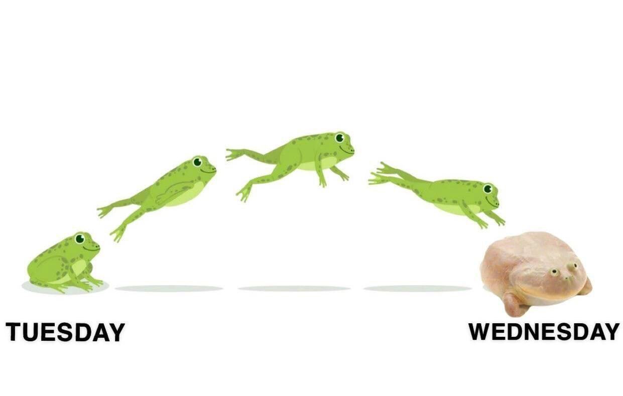 TUESDAY WEDNESDAY