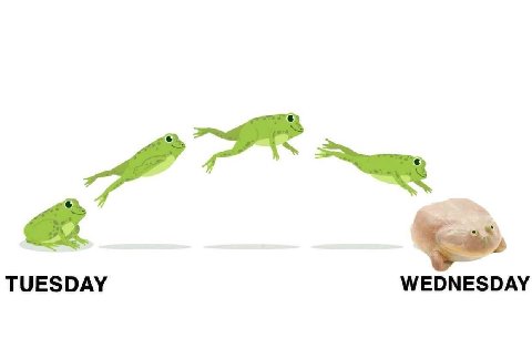 TUESDAY WEDNESDAY