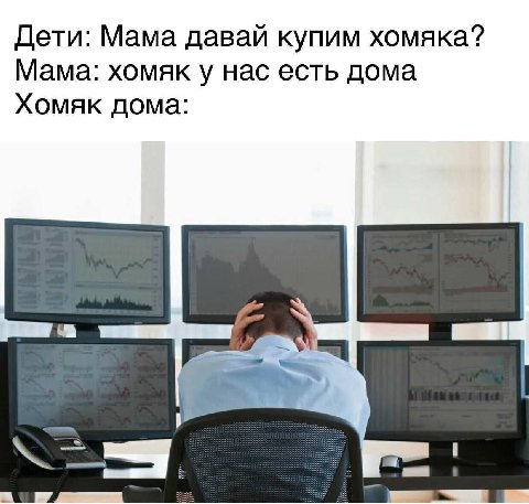 Дети: Мама давай купим хомяка? Мама: хомяк у нас есть дома Хомяк дома: