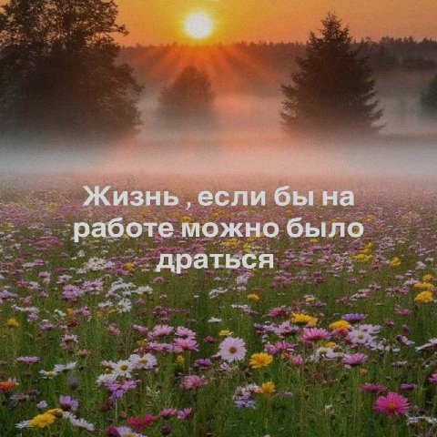 Жизнь если бы на работе можно было драться
